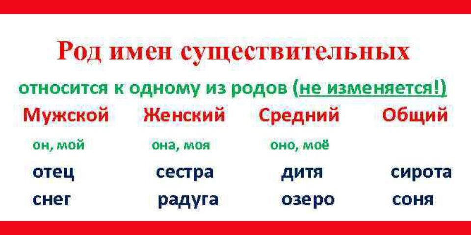существительное тюль род. шимпанзе какой род существительного. техника уолта диснея коучинг. род существительных тюль шампунь. определить род существительных исключения.