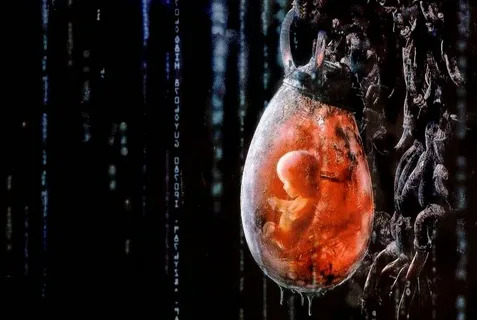 Кадр из фильма "Матрица"