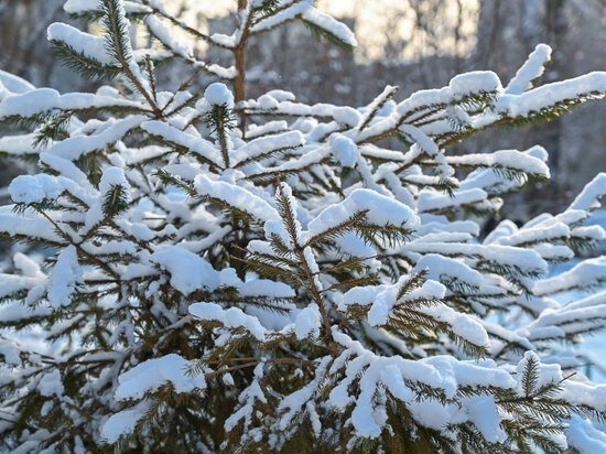     Фото: Людмила Ковалева