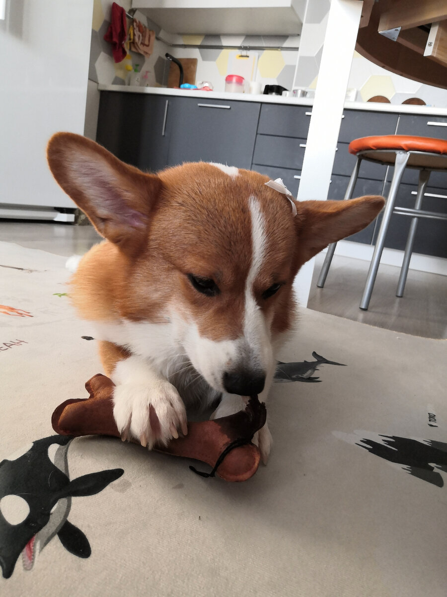 Разнообразие мерлиновских игрушек