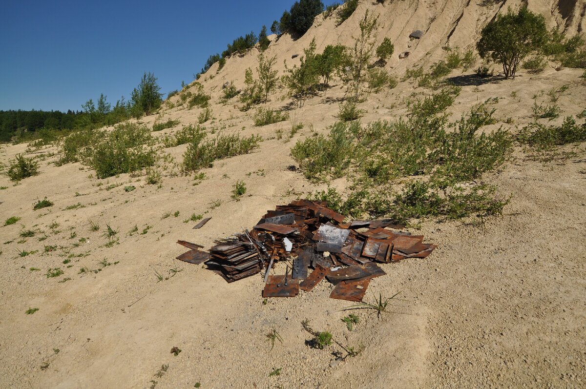 Фото из личного архива. Борницкий карьер.