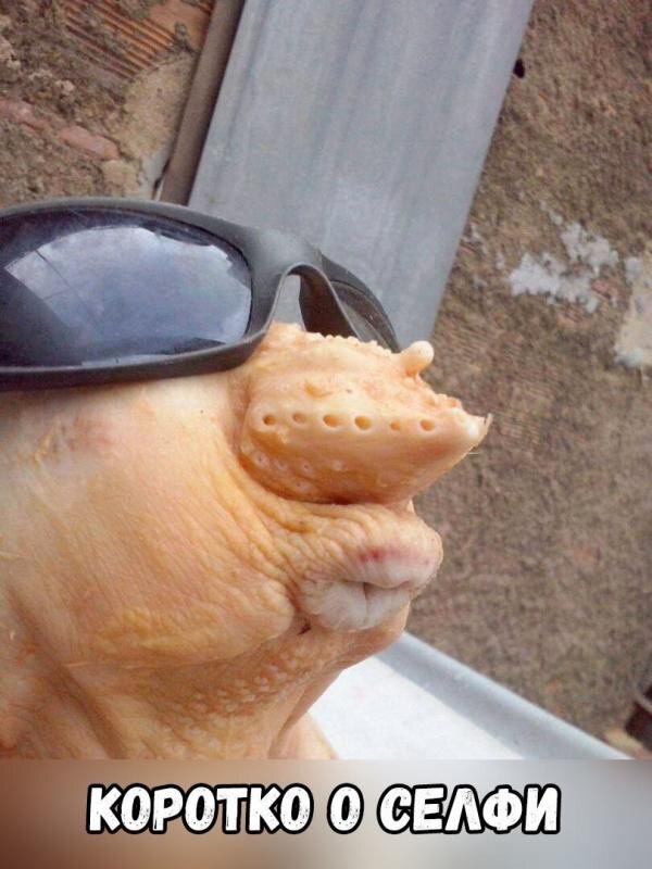 из свободного доступа, хотя лет 7 уже храню и на компьютере