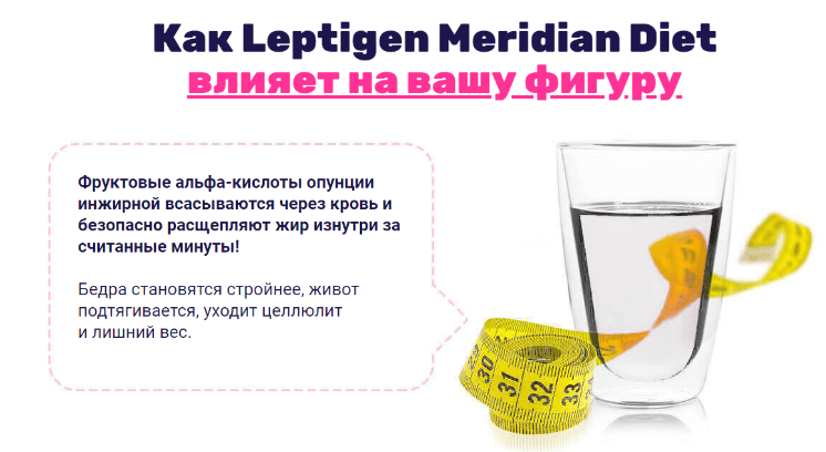 Leptigen Meridian Diet способствует разрушению жировых отложений. Средство отличается комплексным воздействием на организм: 
Снижает аппетит.
Выводит лишнюю жидкость.
Очищает кровь от токсинов.
Ускоряет обмен веществ.
Предотвращает сбой в работе внутренних органов, систем.
Улучшает работу пищеварительной системы.
Нормализует уровень холестерина, глюкозы.
Стабилизирует концентрацию желудочного сока.
Растительный комплекс обеспечивает быстрое проявление фармакологических эффектов при достаточно коротком курсе терапии. Он удобен в применении, не вызывает синдрома привыкания и побочных действий. 