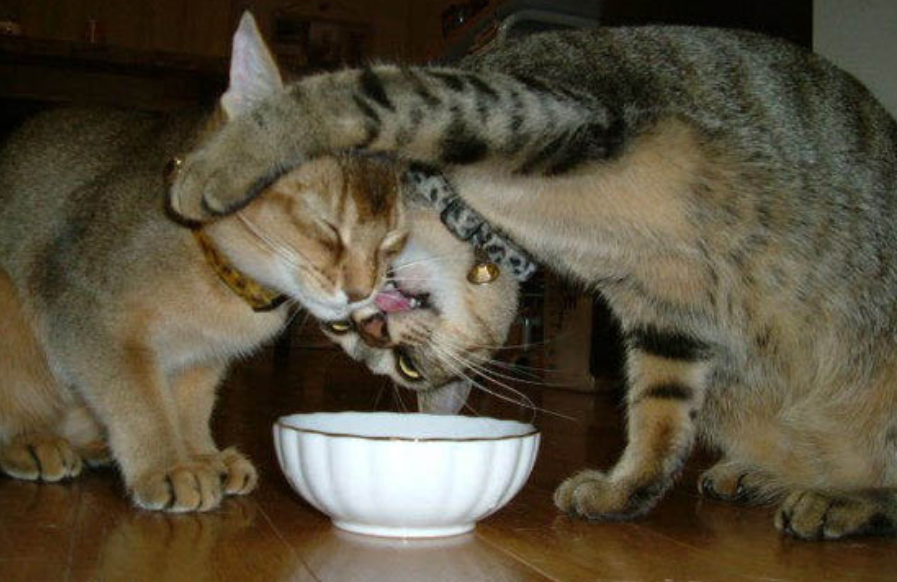 Кто платит за девушку тот. Кто девушку танцует тот ее и ужинает. Кто девушку танцует тот. Кто девушку кормит тот ее и танцует. Она не танцует.