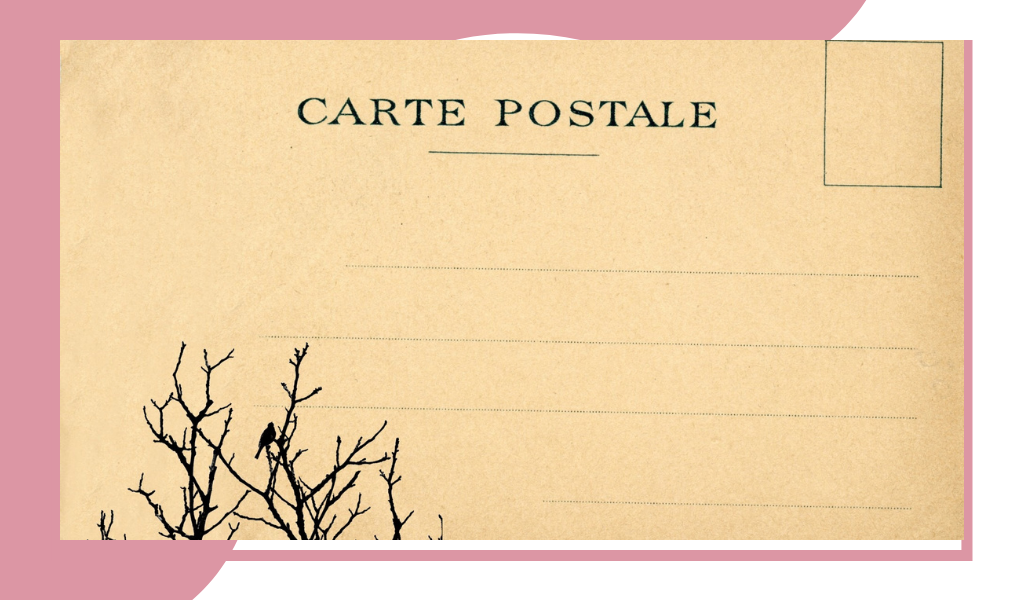 Фотография из открытых источников