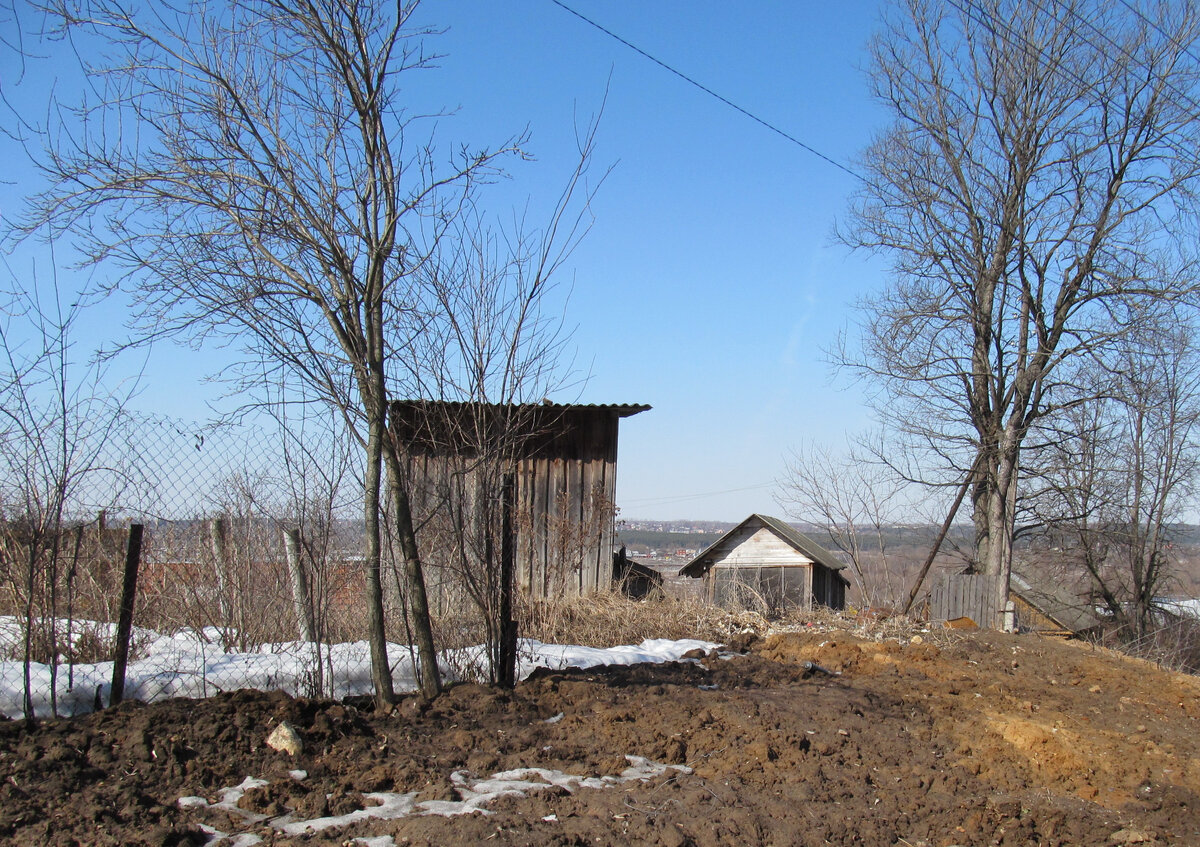 Совсем скоро будет так!  Мой снимок.