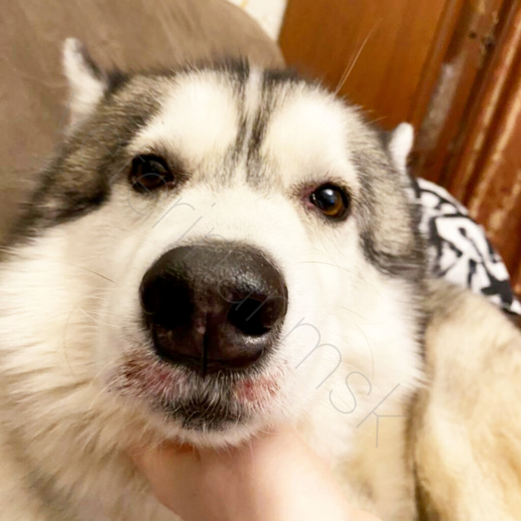 Фото моего пациента до лечения