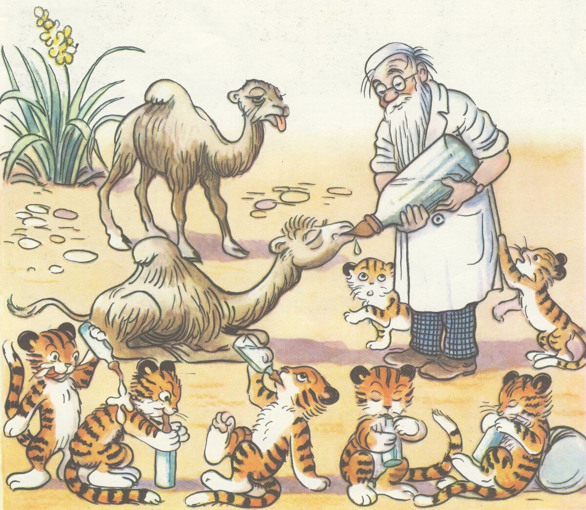 Рисунок Владимира Сутеева к книге «Сказки Корнея Чуковского»