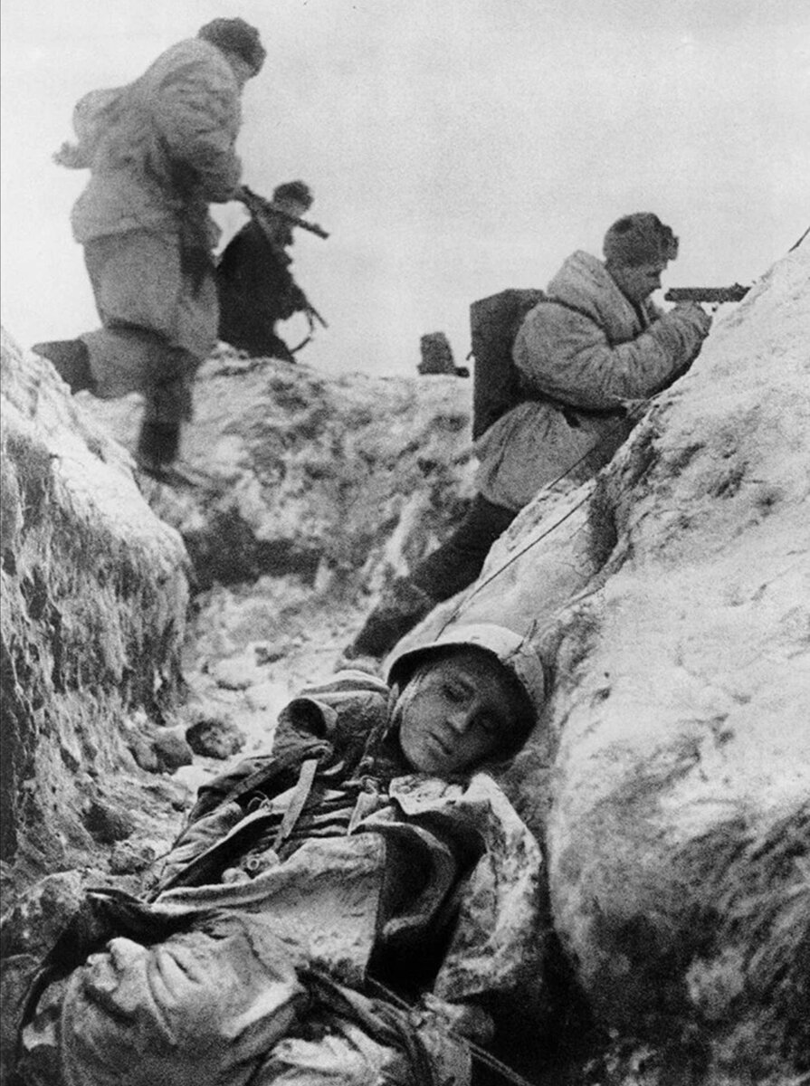 Фото из интернета 