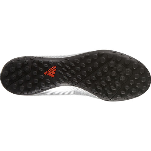 Сороконожки