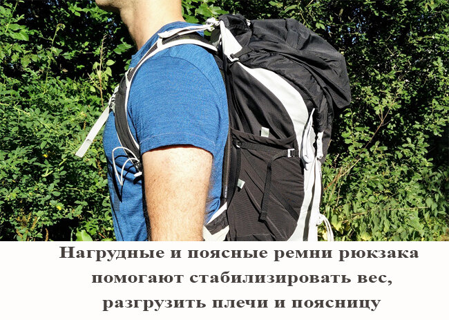 Рюкзак: как носить, чтобы не было проблем со спиной | Spinet.ru | Дзен