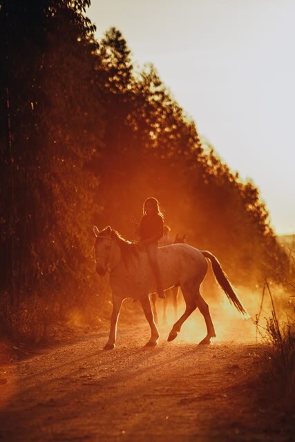 Фото автора Helena Lopes: Pexels