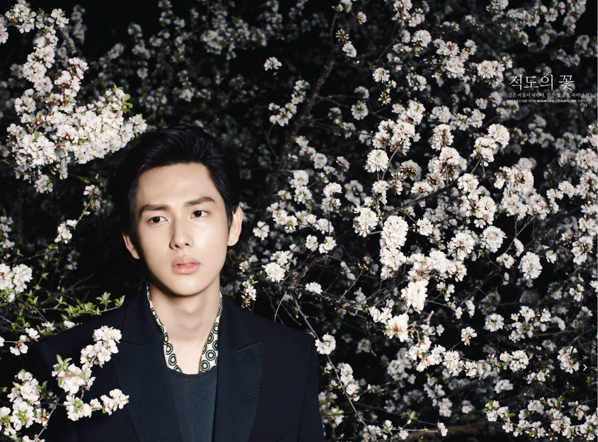 Ван ши жу и. Im shi wan. Им ши ван дорамы. Им си ван. Ван ши жу и.