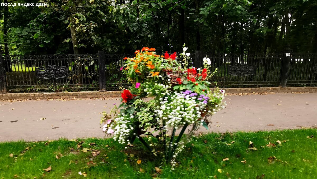 Фото в натуре четко