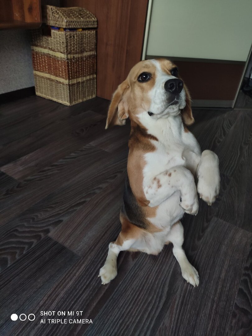 Фото: https://vk.com/club202871281?z=album-202871281_278847223