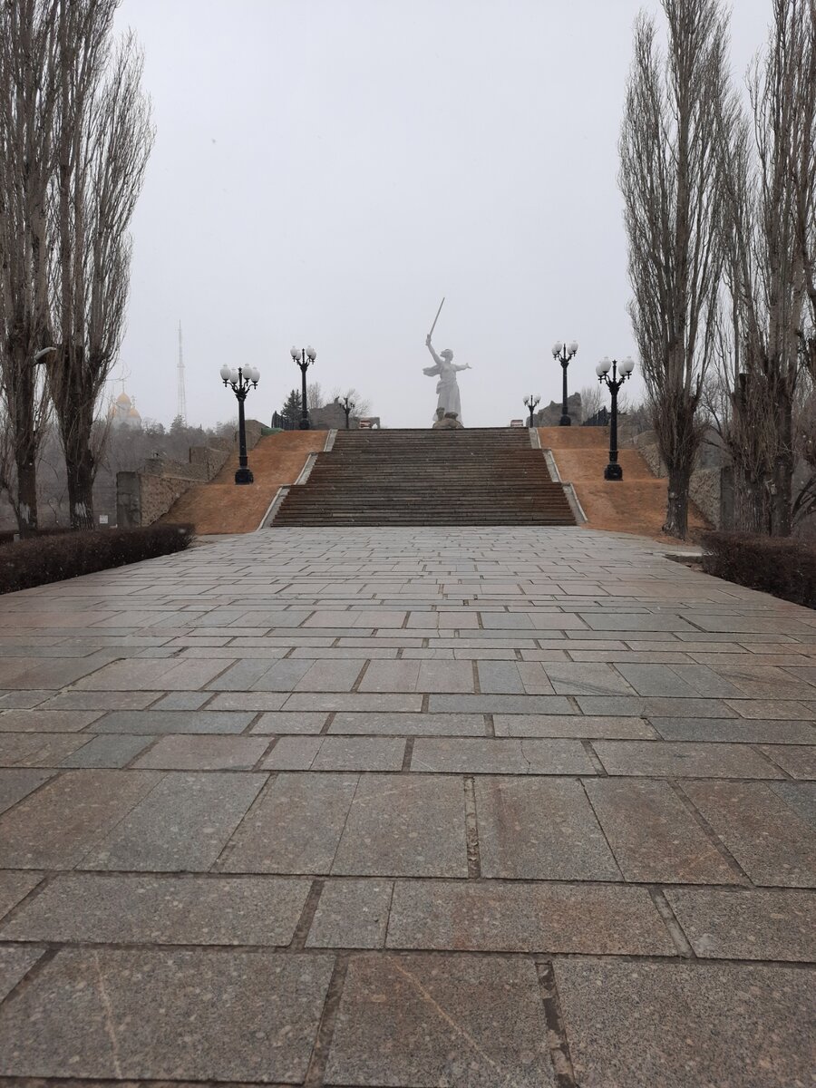 Длина Аллеи – 223 метра, ширина – 10 метров. Склоны вдоль нее покрыты травой, засажены кустарниками.