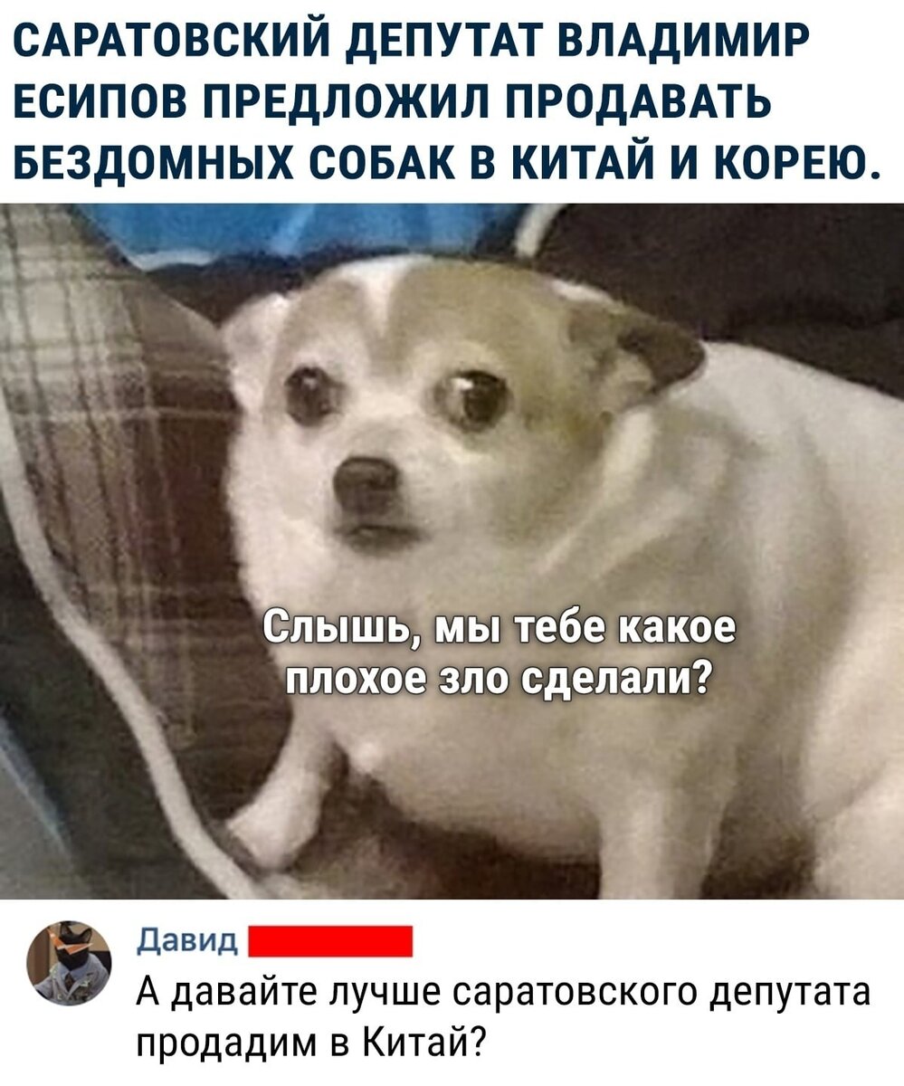 Музыка из мема про собаку с яблоком