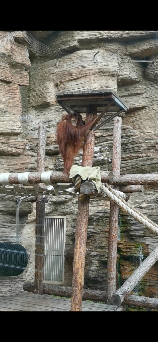 Личное фото автора.