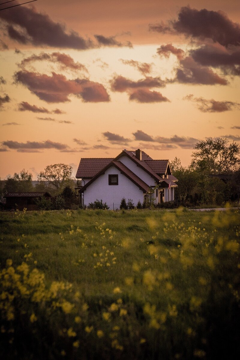 фото с https://pixabay.com/