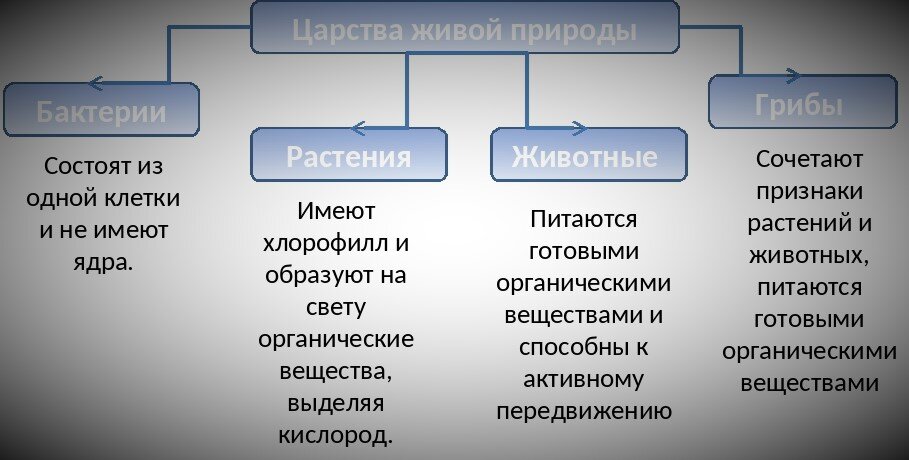 ВПР 2022 по биологии 5 класс варианты и ответы для проверочной работы