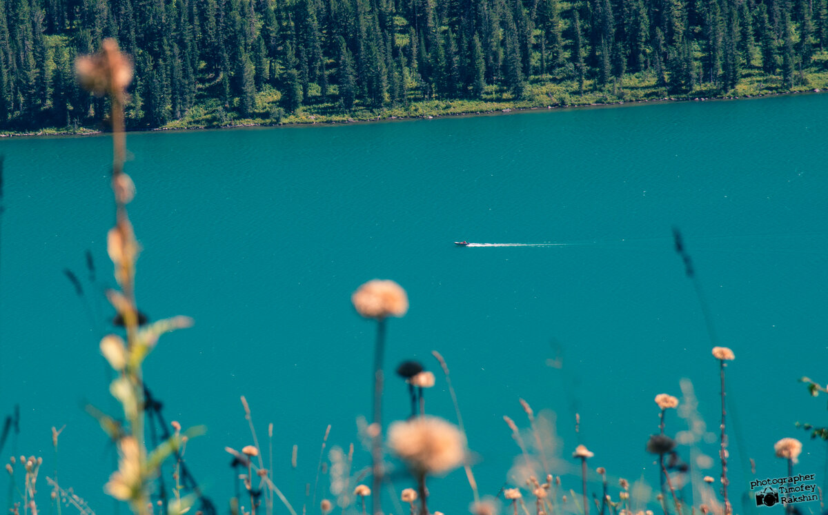 Катунский заповедник.