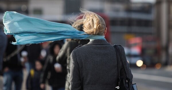 Фото: Владимирские новости