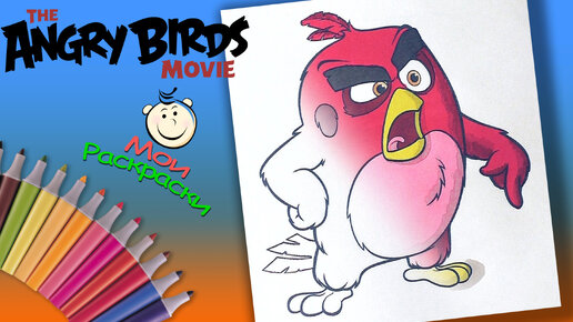 Angry Birds в кино Раскраски Для Детей Раскраска Angry Birds птица Ред