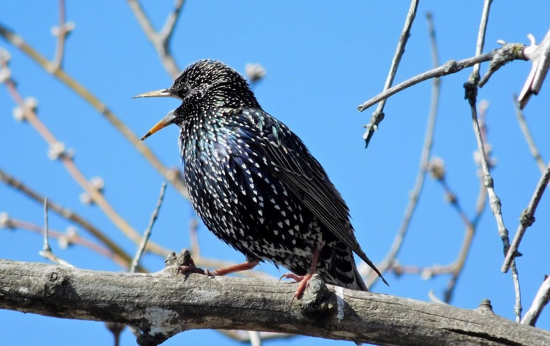 Фото из интернета