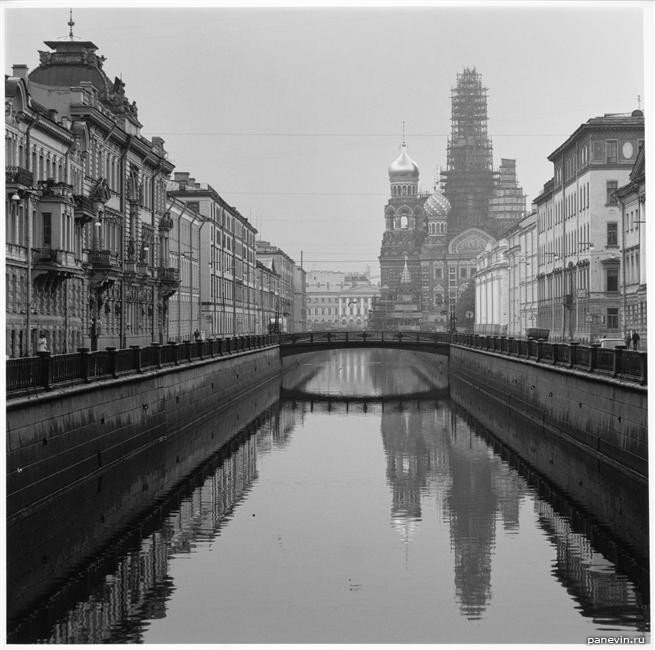 фото из открытого доступа