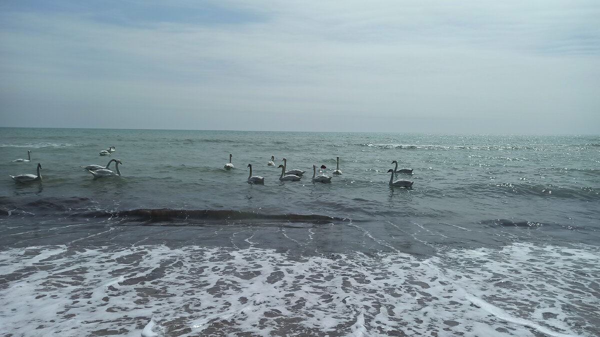 Фото автора. Евпатория. Центральная набережная