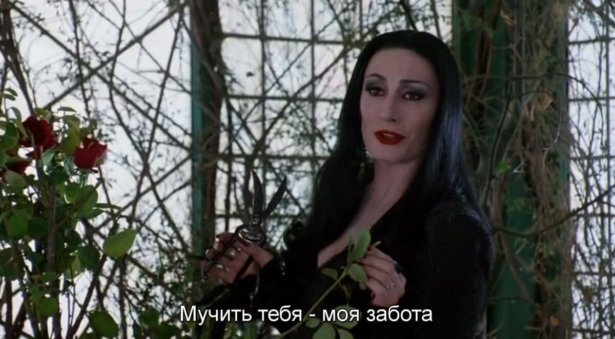 Кадр из фильма "Семейка Аддамс" 1991 год.