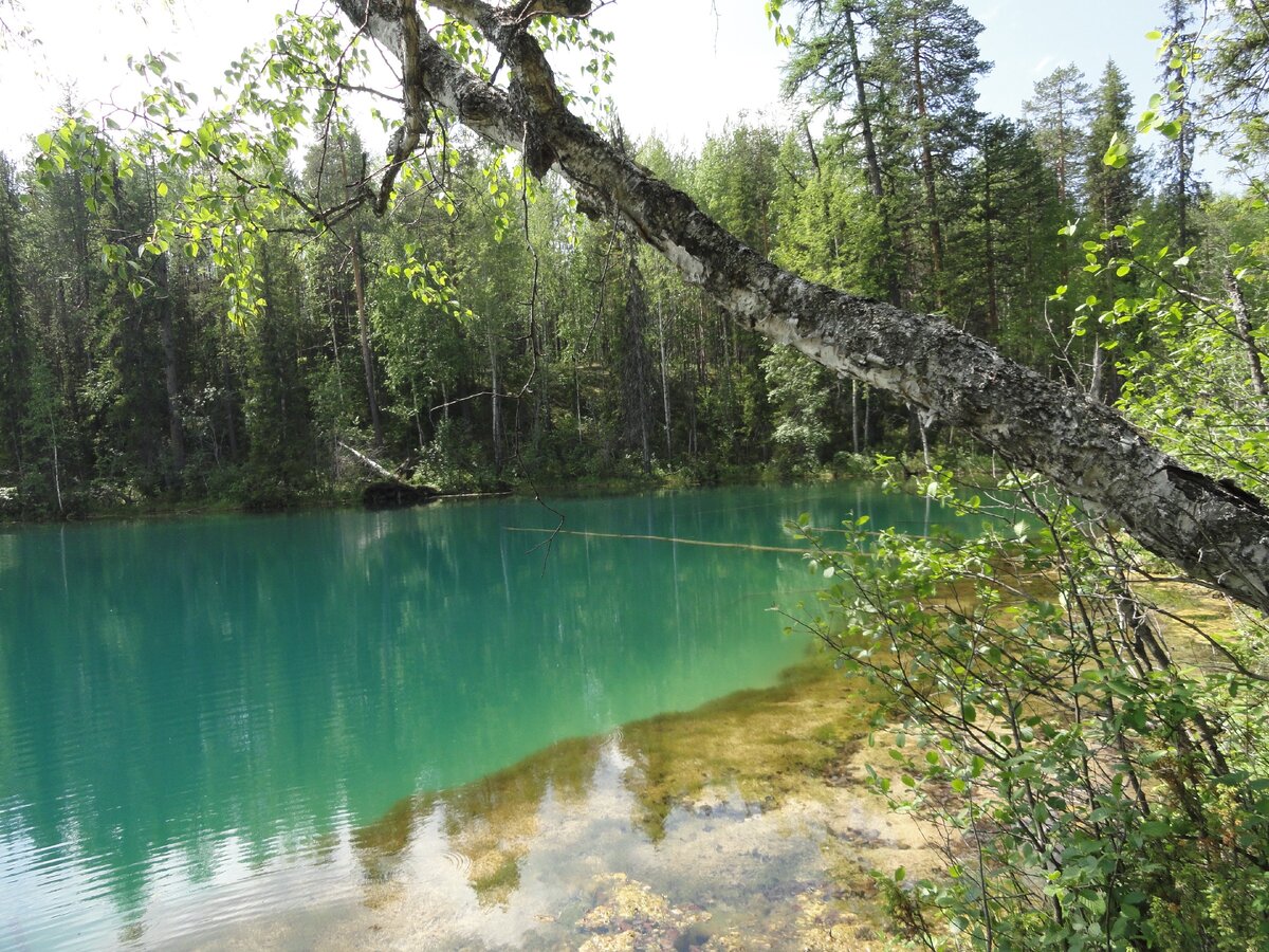 Сплав по рекам Республики Коми