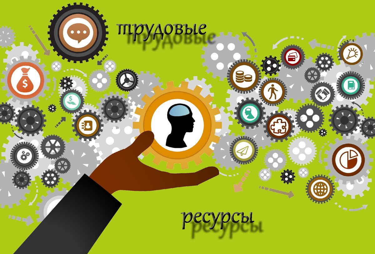 Трудовые ресурсы - это основа любой организации.