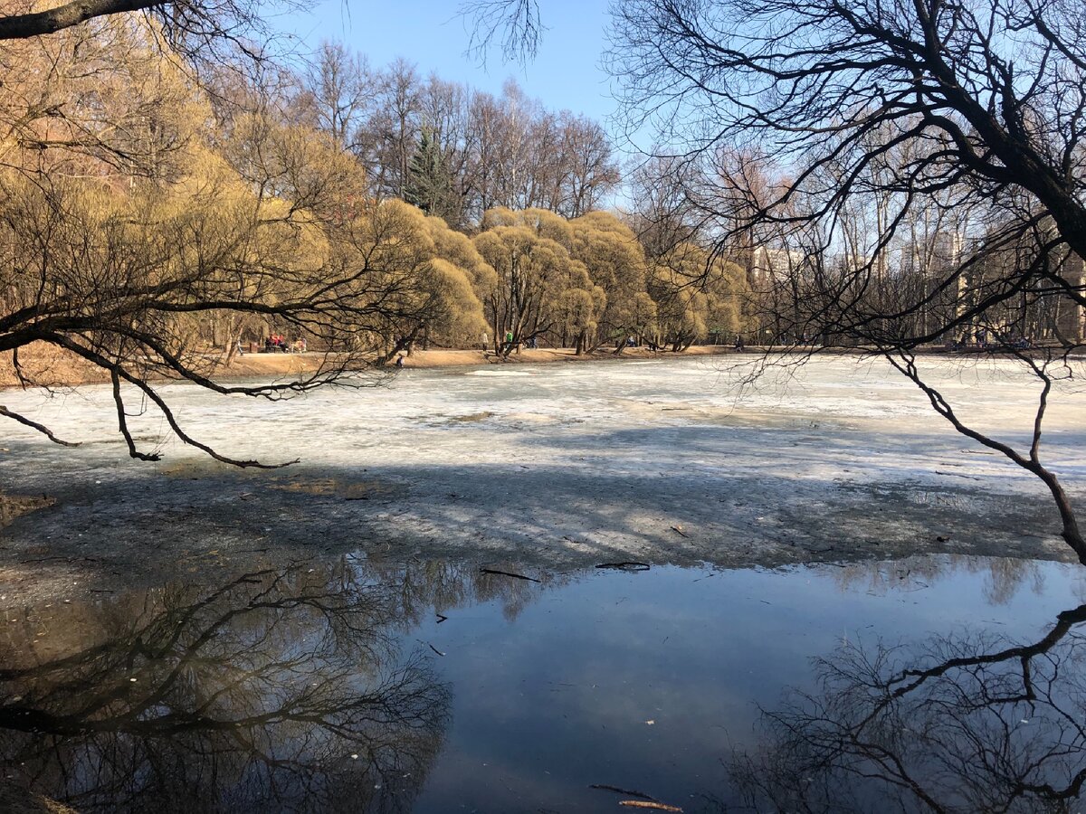 суворовский парк кунцево