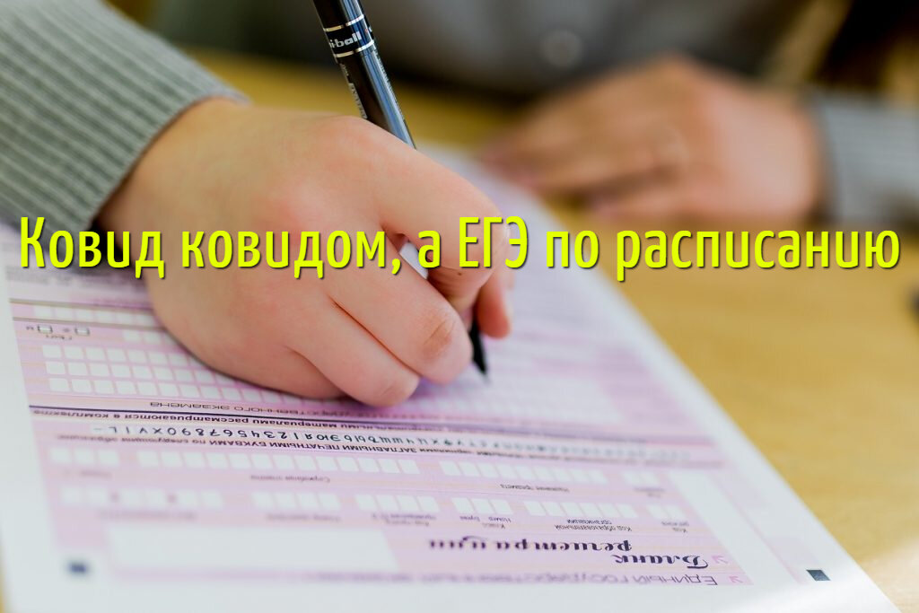 ЕГЭ, как и планировалось, начнется 31 мая - во всех регионах