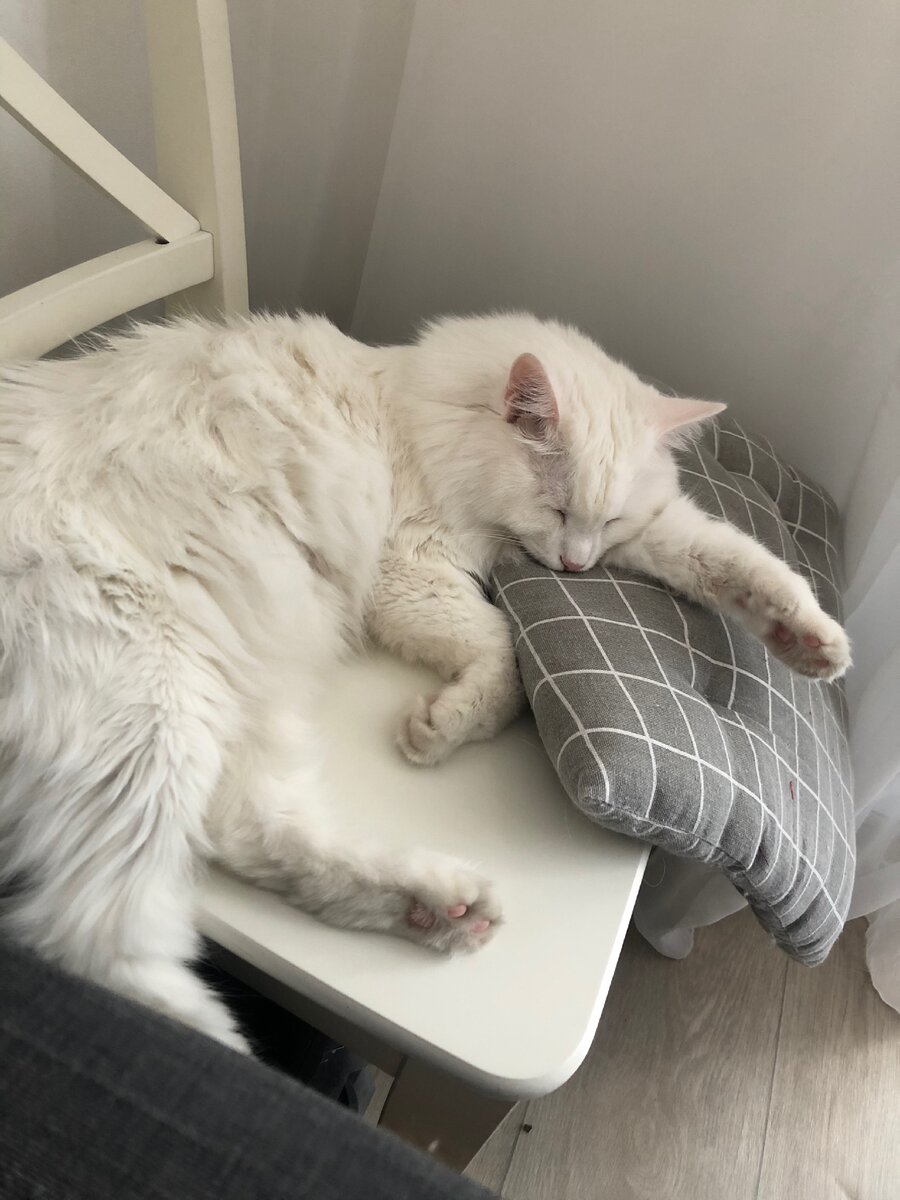 За секунду до падения