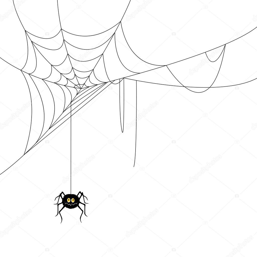 Паутина с пауком в углу