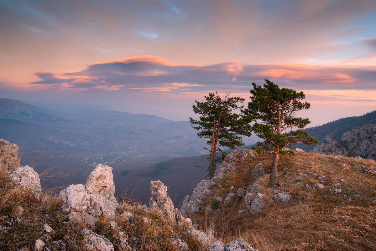 Фото: https://ru.wikipedia.org