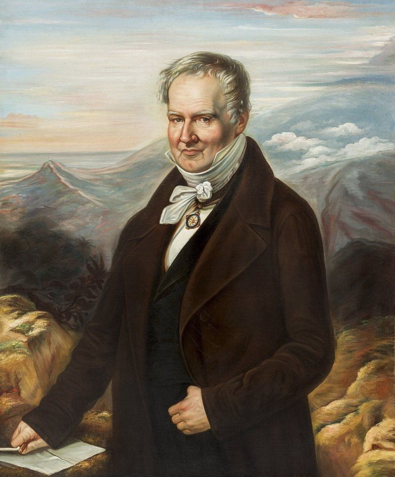 Alexander von humboldt. Гумбольдт Вильгельм. Александр фон Гумбольдт. А. Гумбольдт (1769-1859). Немецкий ученый Александр Гумбольдт.