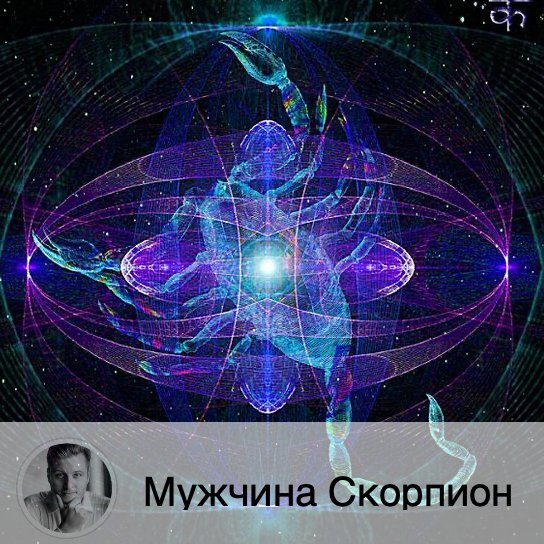 Подписывайтесь и ставьте 👍
Мужчина-Скорпион ищет себе преданную красотку с хорошими умственными способностями.  Достоинства
Мужчина-Скорпион – неоднозначная персона. Это интеллектуал, эстет, харизматичная личность. Он умеет доводить дело до конца, а также быть лидером, преданным другом. В нём есть загадка; он умеет себя подать. Самореализация для этого знака зодиака – не пустой звук. Ставит цели и их достигает. У окружения складывается такое ощущение, что он умеет всё. Обладает хорошим чувством юмора, но в реалии не такой жизнерадостный. Это прекрасный муж, потому что Скорпионы – семейные люди. Мужчина-Скорпион – преданный партнёр, хороший отец.
Недостатки
Мужчина-Скорпион упрям, напорист, бывает снобом. Пессимист по жизни. Это закрытый мужчина. Его можно назвать эгоистом, собственником. Если Скорпиона обидели, то он отомстит. Ещё он – любитель порефлексировать. Если мужчина-Скорпион не в духе, то и окружению тоже не по себе. Скорпион привык к крайностям: всё либо хорошо, либо плохо. У него не бывает «между».
Что ценит в женщинах
Мужчина-Скорпион любит в женщинах честность, не приемлет, когда ему врут. И он сразу чувствует, когда его пытаются обмануть, потому что интуиция Скорпиона очень сильная. Мужчина-Скорпион всегда выбирает женщину, которая прекрасно выглядит: стильная, красивая, ухоженная. Однако внешность – не главное для этого знака зодиака. Он обязательно будет смотреть на внутреннее содержание. Ему нужно, чтобы его партнерша была интересной, умной и загадочной. Конечно, ему нужна преданная женщина, открытая и чувственная. 
Как ему понравиться?
Если вы решили завоевать Скорпиона, то заручитесь наличием таких качеств, как собранность, остроумие, надёжность, преданность. Если вы хотите связать свою жизнь со Скорпионом, то должны всегда выглядеть, как на обложке журнала мод. Вы должны быть самостоятельной, умеющей зарабатывать деньги. Безусловно, мужчина-Скорпион будет обеспечивать вашу семью, но прежде, при знакомстве с будущей женой, он должен убедиться, что вы не будете полностью от него зависеть. Вы должны реально себя оценивать. Скорпион почувствует, если вы будете завышать или занижать свои достоинства. В отношениях со Скорпионом особенно важна психологическая и сексуальная совместимость. Без гармонии не получится крепкой семьи. 

