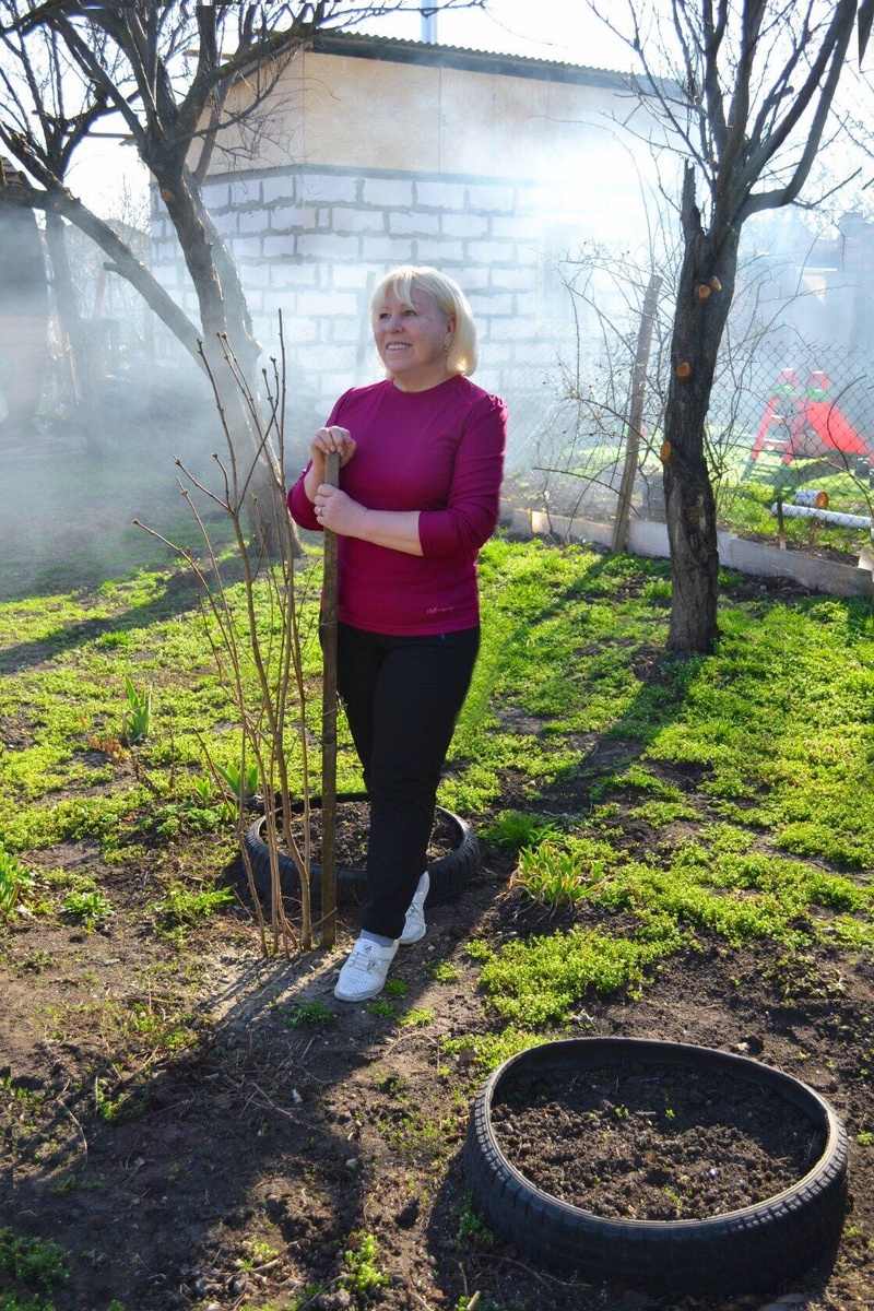 Весенние радости