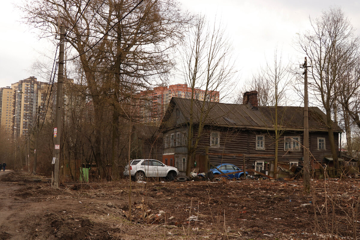 Русская изба кошель. Петербург деревня. Дача китнера в старой деревне. Деревня шуваловка санкт-петербург. Петербург деревня.