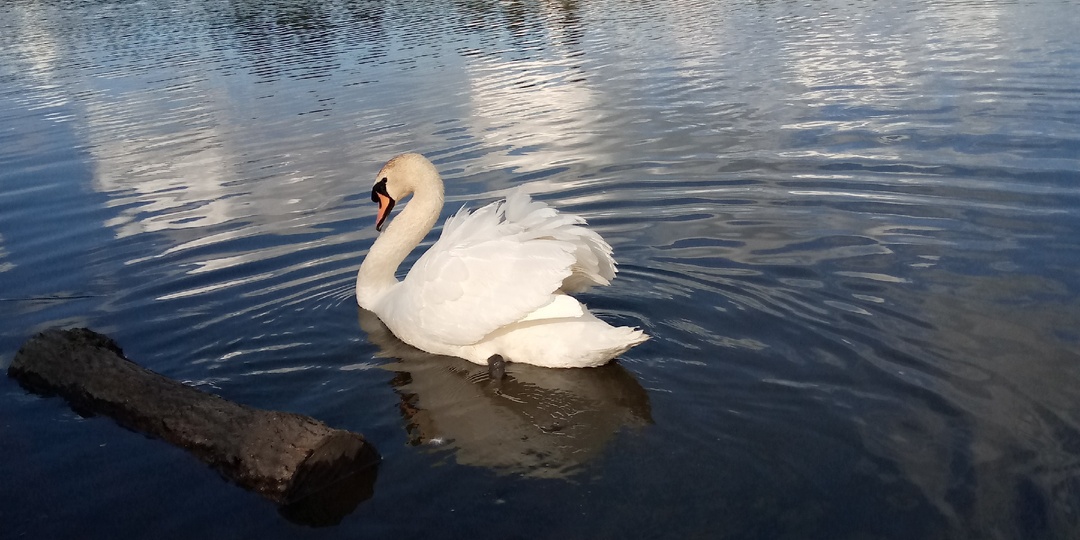 Песочный часы наши жизни,,,