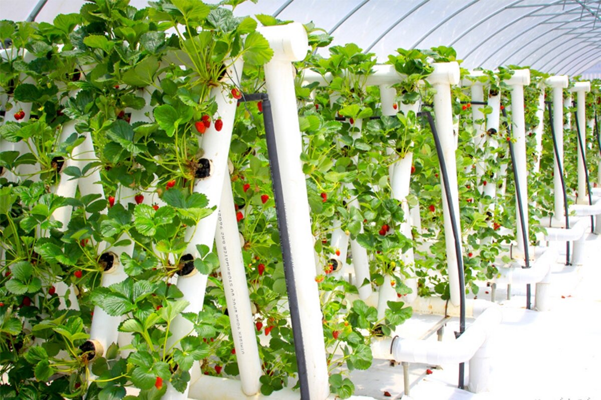 Источник: Яндекс.Картинки 