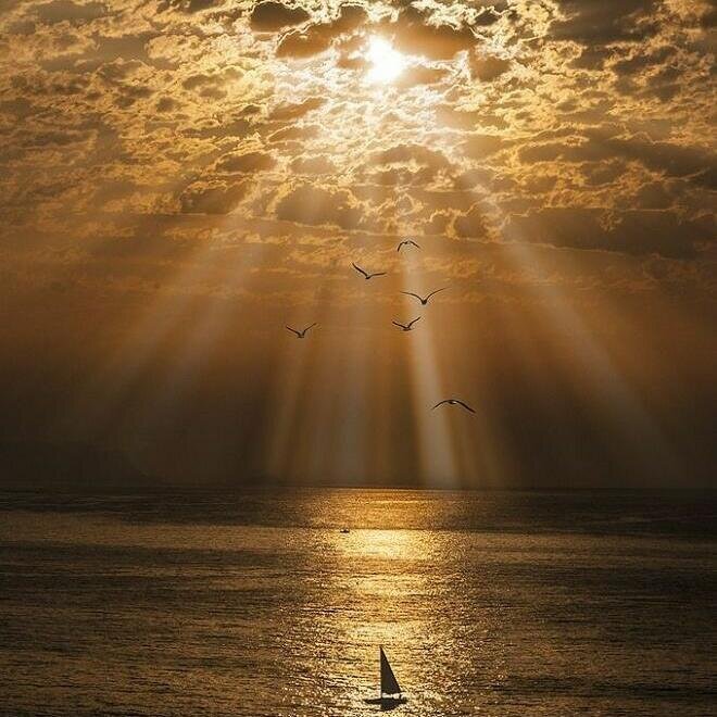 На что вы готовы ради счастья? @живи не спеша