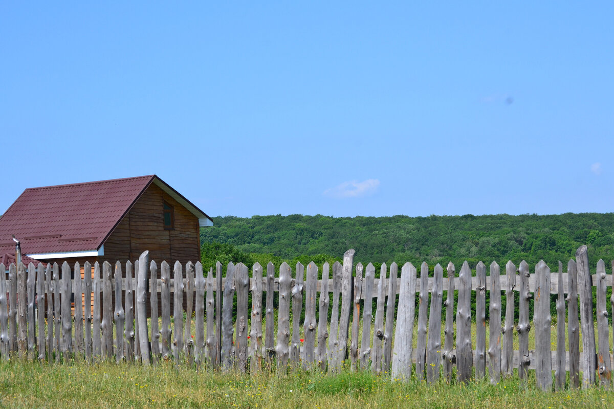 Летом с детьми любим отдыхать в деревне 