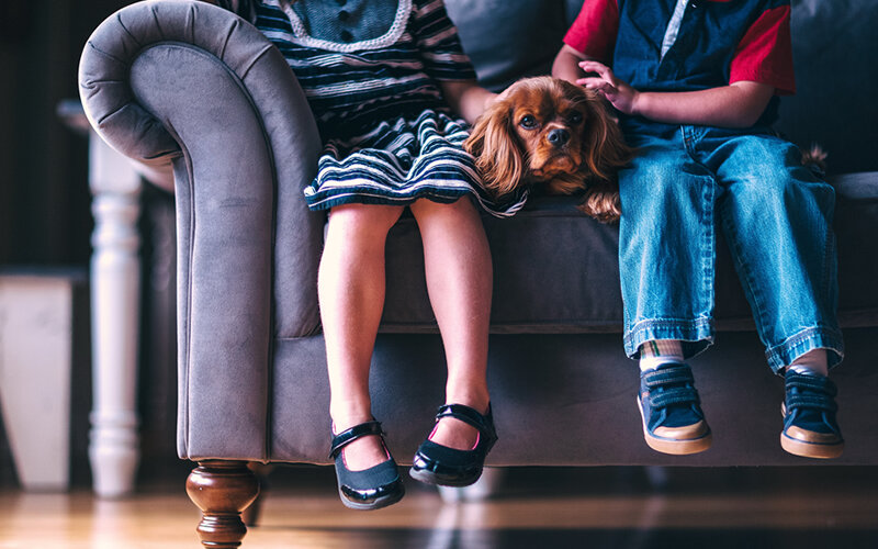 Проблема приобретения наиболее безопасной для детей породы поднимается на каждой консультации по выбору собаки. Фото Pexels/Pixabay