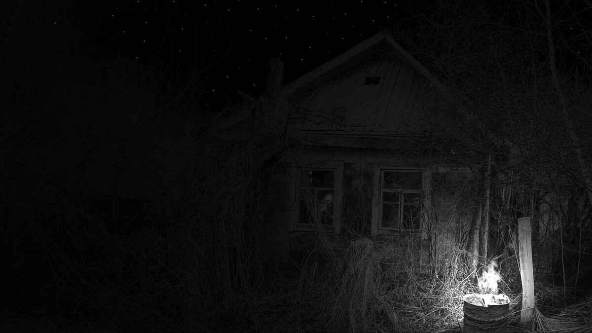 Фото из открытых источников.