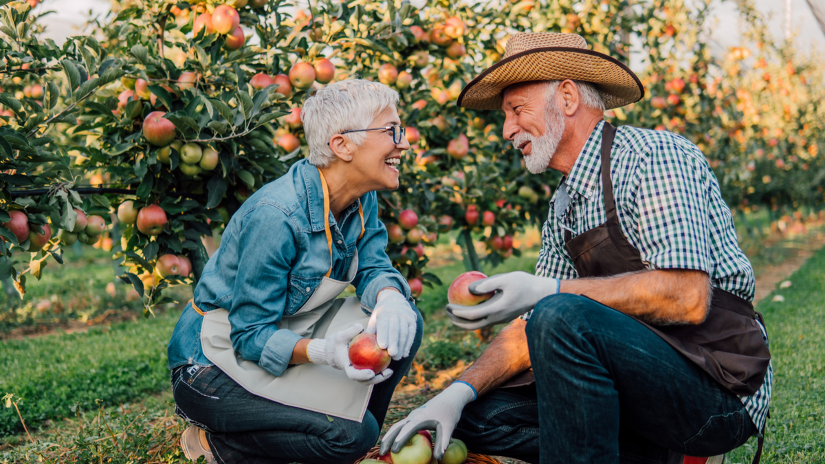 Вот несколько способов, которыми вы и ваш партнер можете выдержать испытание временем.