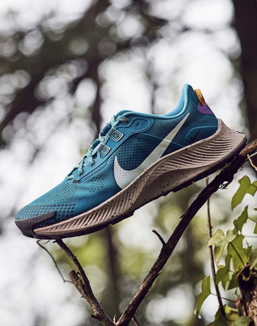 Nike Pegasus Trail 3 KrossObzor.ru